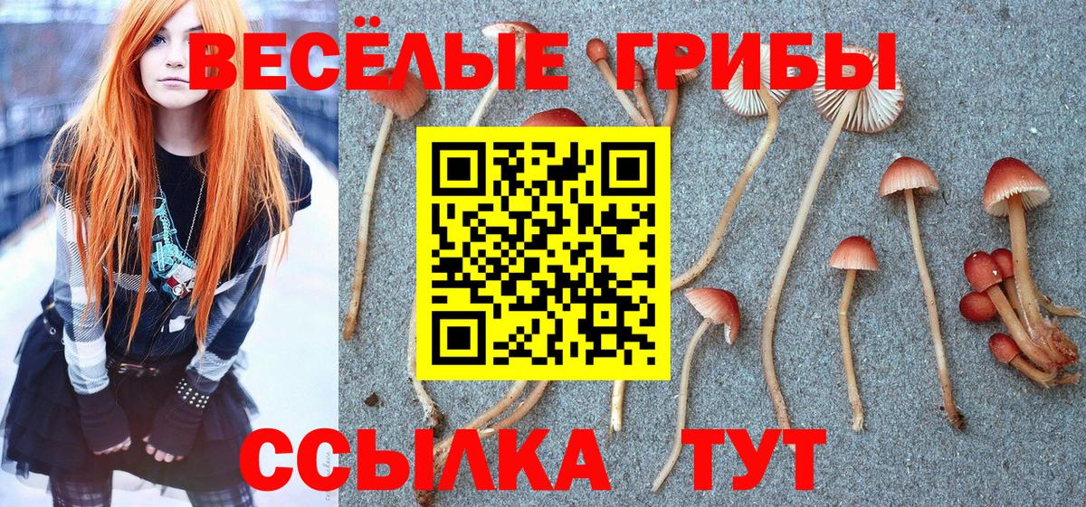 Псилоцибиновые грибы мицелий  Вход с VPN  Вятские Поляны 